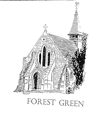 forest-green-dorking