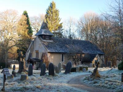 okewood-forest-green-dorking